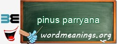 WordMeaning blackboard for pinus parryana
